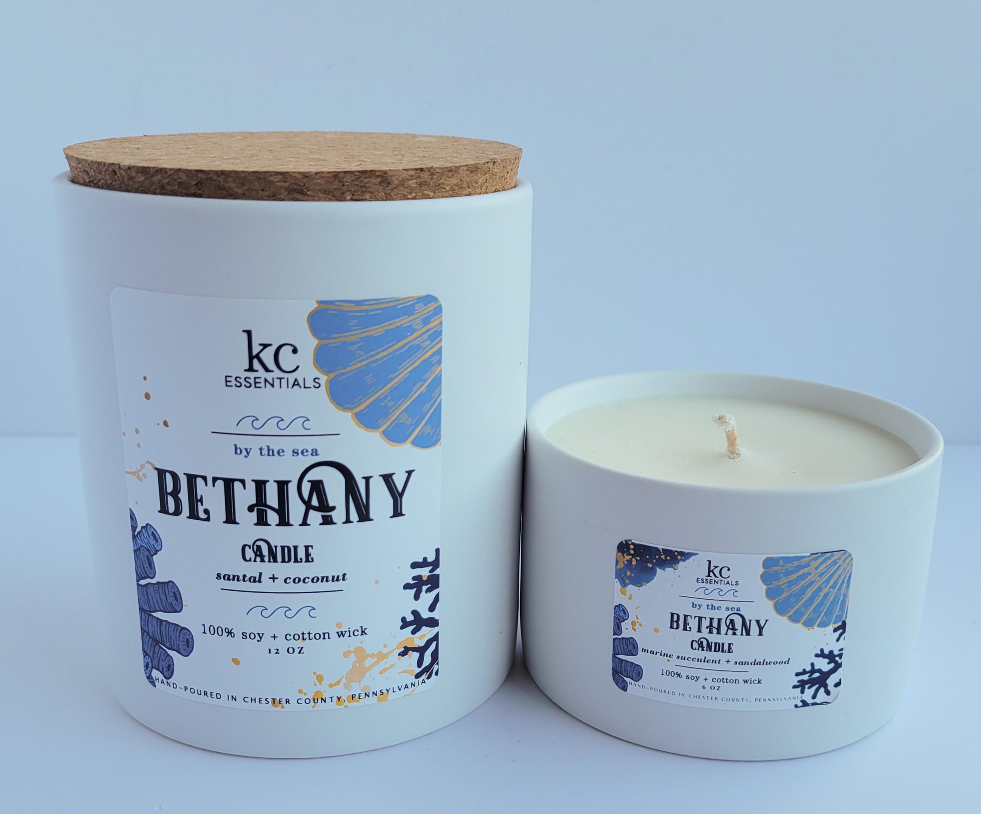 bethany beach 100 percent soy wax candle, cork lid, 12 ounce candle, marine succulent and sandalwood scented candle, cotton wick candle.