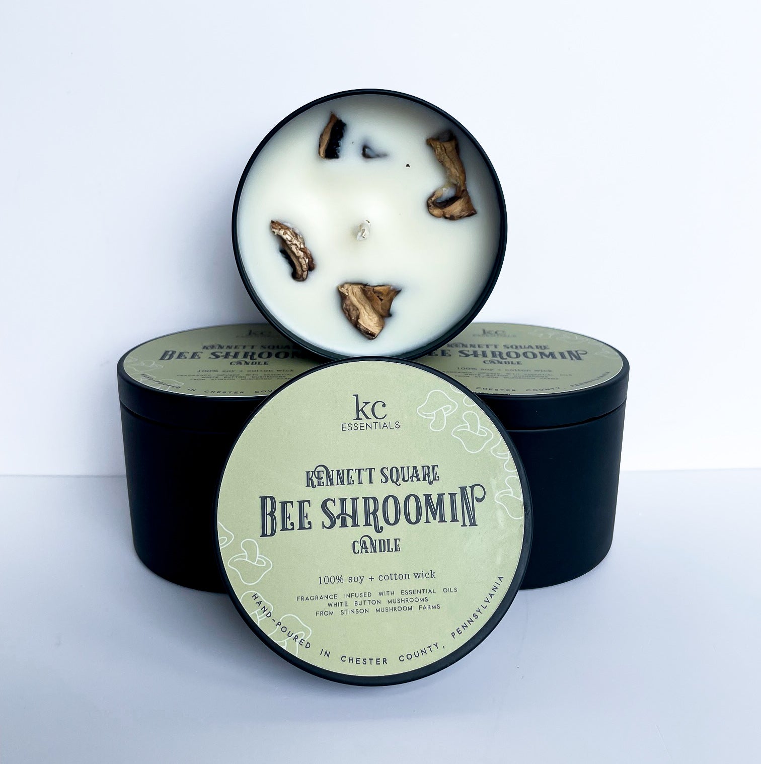 100 percent soy candle, Kennett Square Pennsylvania, PA, Bee Shrooming soy 7 ounce candle, apples and cinnamon scented candle, fall scented candle.